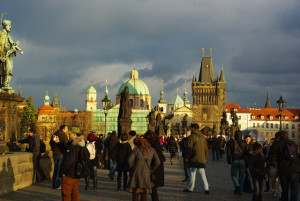 8475_IMGP6621.jpg