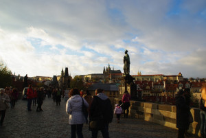 8479_IMGP6625.jpg