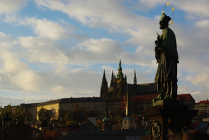 8480_IMGP6626.jpg
