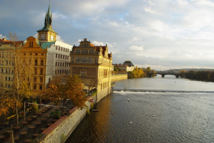 8486_IMGP6632.jpg