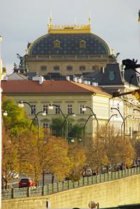 8488_IMGP6634.jpg