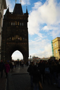 8495_IMGP6641.jpg