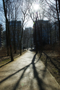 20130423155356-4c22a43e.jpg