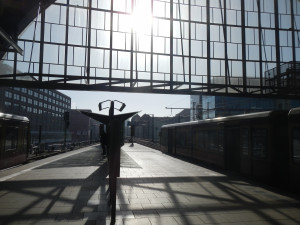 DSCN0990.JPG