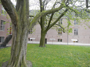 DSCN1047.JPG