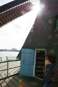 20130501151131-fee41572.jpg