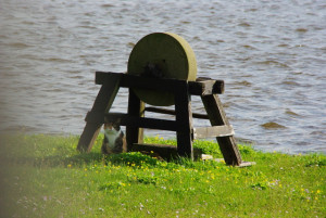 20130501151424-21dff136.jpg