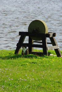 20130501151437-3289d819.jpg