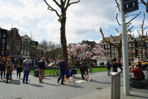 20130501185718-cab7962b.jpg