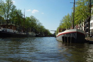 20130501192231-92fde028.jpg