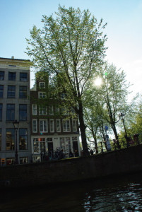 20130501193648-f1fc842a.jpg