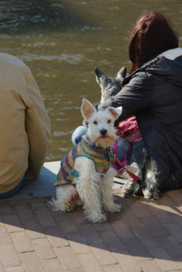 20130501193749-c4aea495.jpg