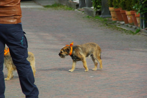 20130501210016-2b5ff4a8.jpg