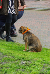 20130501210024-b200e306.jpg