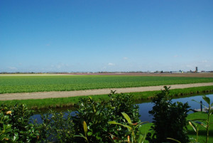 20130511202600-87ac7ffc.jpg