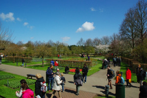 20130511202640-01cd3893.jpg