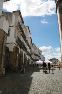 IMGP0005%20%281%29.JPG