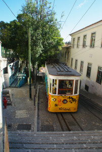 IMGP0006%20%284%29.JPG