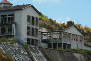 IMGP0007.JPG