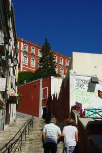 IMGP0011%20%284%29.JPG