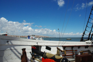 IMGP0020.JPG