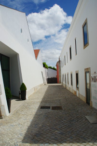 IMGP0023%20%282%29.JPG