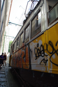 IMGP0036%20%284%29.JPG