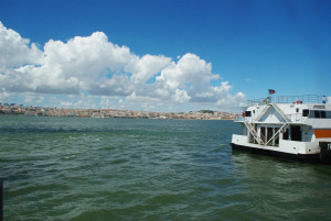 IMGP0036.JPG