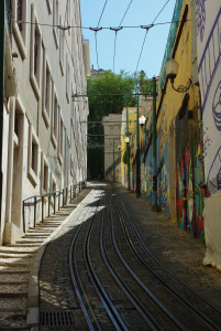 IMGP0037%20%284%29.JPG