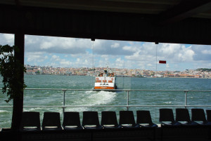 IMGP0037.JPG