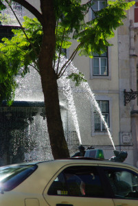 IMGP0057.JPG