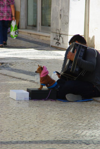 IMGP0071%20%281%29.JPG