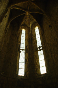 IMGP0078.JPG