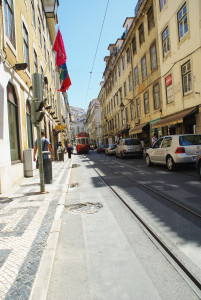 IMGP0081.JPG