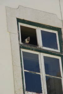 IMGP0086.JPG