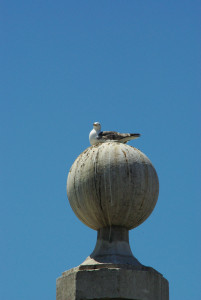 IMGP0095.JPG