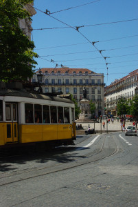 IMGP0105.JPG