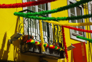 IMGP0107.JPG