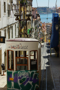 IMGP0110.JPG