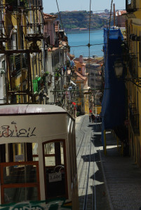 IMGP0111.JPG