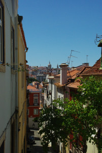 IMGP0116.JPG