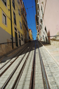 IMGP0120.JPG