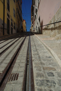 IMGP0121.JPG