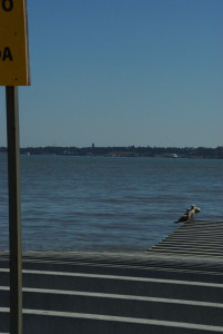 IMGP0130.JPG