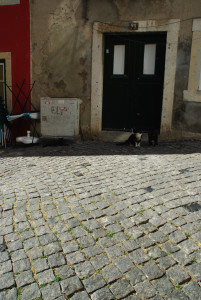 IMGP0136.JPG