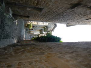 DSCN1111.JPG