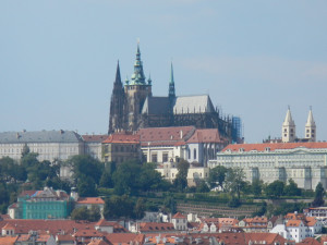 DSCN1181.JPG