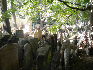 DSCN1250.JPG
