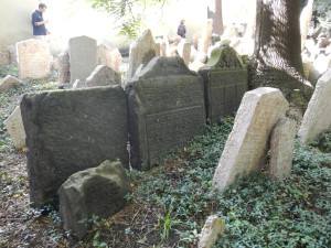DSCN1251.JPG