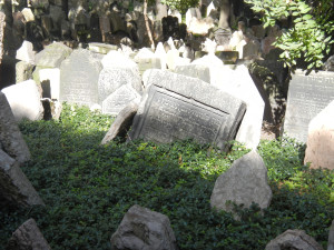 DSCN1252.JPG